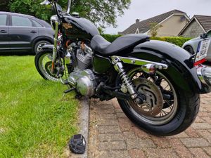 🦏 HARLEY DAVIDSON xl883L 2009.MINT.LOW MILAGE 🦏 - Image 2