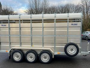 M-TEC 14FT X 6FT cattle trailer - Image 2