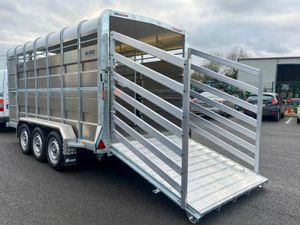 M-TEC 14FT X 6FT cattle trailer - Image 3