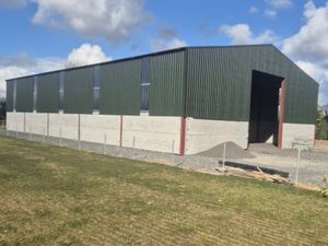 !!!100x60x20 EAVES KIT SHED !!!! - Image 2