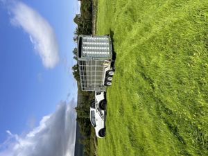 Mtec 14ft x 6ft Livestock Trailer - Image 3