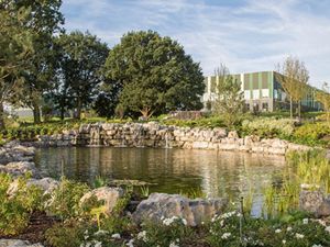 Weathered Limestone Boulders - Image 3