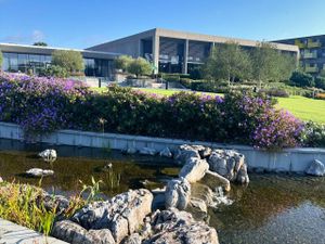 Weathered Limestone Boulders - Image 2