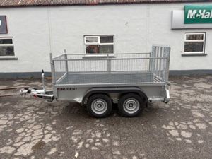 New Nugent GP 2535x1268 Mesh Side 2000kg 2 Axle - Image 4