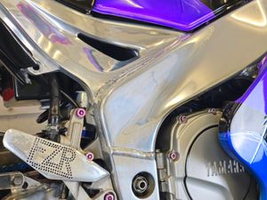 1991 Yamaha FZR 1000 3LE Custom showbike - Image 3