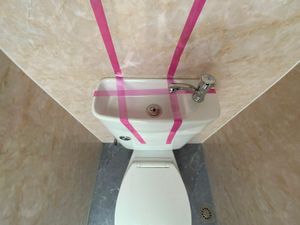 UNUSED DOUBLE CUBICLE TOILET POD......5141. - Image 4