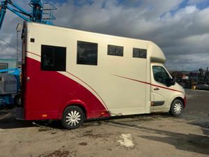 2011 RENAULT MASTER  HORSE VAN BOX - Image 3