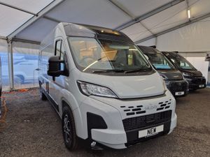 WildAx Europa 6M - Automatic - Image 2