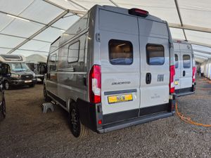 WildAx Europa 6M - Automatic - Image 3