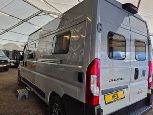 WildAx Europa 6M - Automatic - Image 4