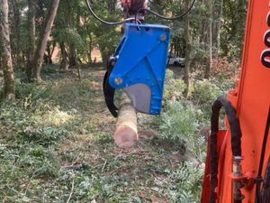 6-14 ton Tree Shears - Image 3