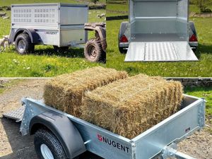 Single Axle Trailers - Image 2