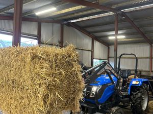 2019 Solis 50 with Loader - Image 3