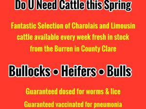 Money Makers - Image 2