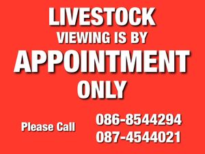 THE DAY U BUY IS THE DAY U SELL - Image 4