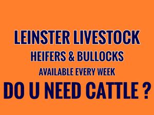 THE DAY U BUY IS THE DAY U SELL - Image 2