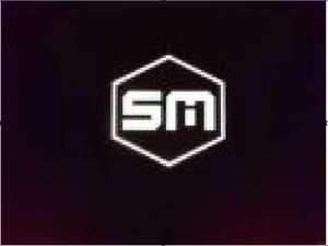 2023 LEXUS NX 450H+ EXECUTIVE AWD. - Image 2