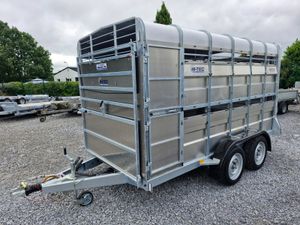 NEW M-TEC  12' X 6'  TRAILER WITH SHEEP DECKS - Image 2