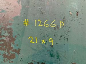 21 x 9 CHANGING / DRYING ROOM + SHOWER.1266P - Image 3