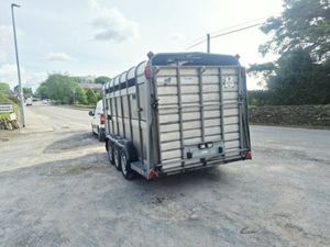 2007 Ifor Williams 14 x 6 Cattle Trailer - Image 3