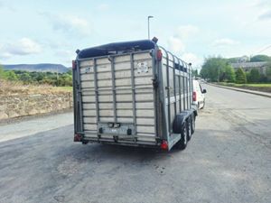 2007 Ifor Williams 14 x 6 Cattle Trailer - Image 4