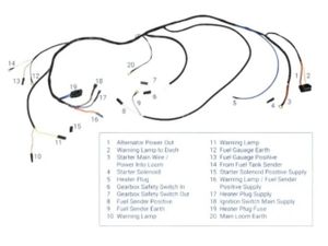 Wiring Loom Massey Ferguson 135 Alternator Type - Image 2