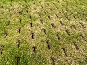 2.5 Metre Allstrong Aerator - Image 2