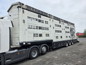 2017 Pezzaioli 2 deck cattle 4 deck sheep - Image 2