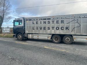 Smashing Heifers • 19/06/26 • Galway - Image 2