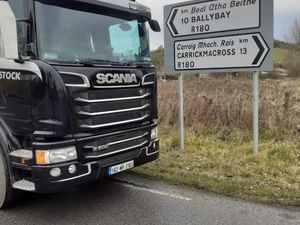 Better Value than a Bull Weanling ? - Image 2