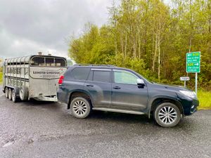 FREE • FREE • FREE • FREE • FREE • FREE - Image 2