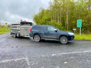 FREE • FREE • FREE • FREE • FREE • FREE - Image 3