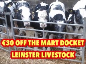 Calves every Monday €30 of the mart docket - Image 2