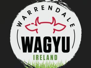 Dairy Farmers for 2026 Breeding Season - Image 2