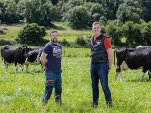 Dairy Farmers for 2026 Breeding Season - Image 3