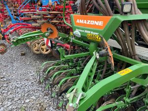 Amazone Centaya - Image 4