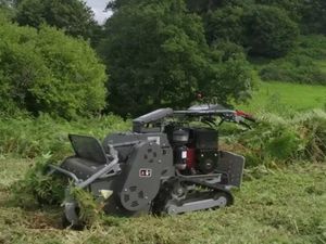 Weibang Velocity 68 TFP Track Flail Petrol Mower - Image 2