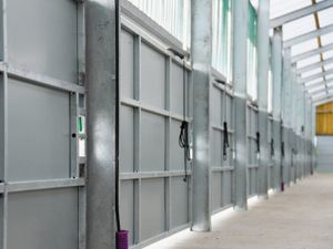 Mono Calf Building - Image 4