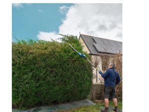 20V 450mm Cordless Long Reach Pole Hedge Trimmer - Image 2