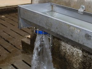 Teemore Stainless Steel Fast Empty Drinker Trough - Image 3