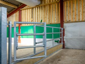 Mono Calf Building - Image 3