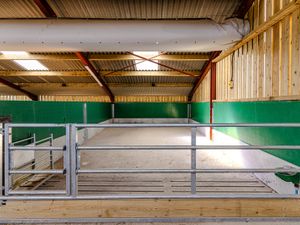 Mono Calf Building - Image 4