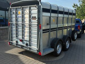 MINT 12x6 Ifor Williams cattle trailer - Image 3