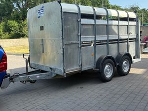 MINT 12x6 Ifor Williams cattle trailer - Image 2