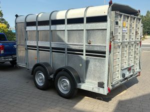 MINT 12x6 Ifor Williams cattle trailer - Image 4