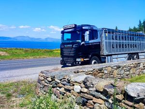 Thanks Paddy Joe from Newport Mayo - Image 2