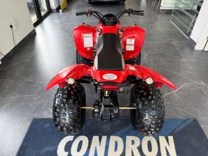 Quadzilla Stinger 100cc 2 stroke automatic ! - Image 4