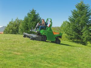 Amazone Profimower - Image 4