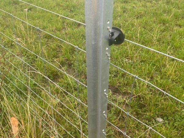 Clipex Fencing for sale in Roscommon for €9 on DoneDeal