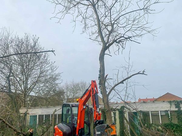 MDE Koala 200 Tree Shear for sale in Armagh for £0 on DoneDeal